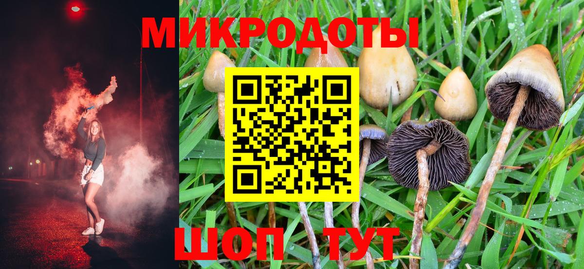 Краснознаменск  Галлюциногенные грибы мицелий  Вход с VPN 